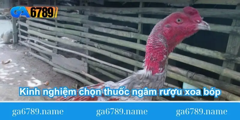 kinh nghiem chon bai thuoc ngam ruou xoa bop kinh nghiem chon bai thuoc ngam ruou xoa bop