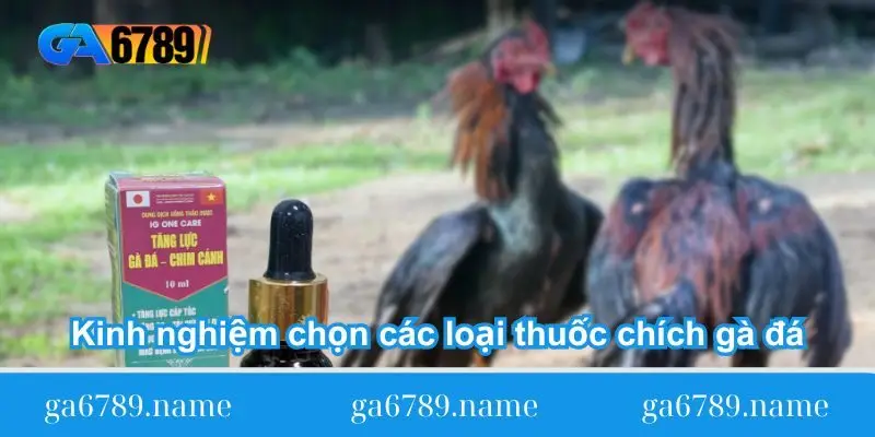 kinh nghiem chon cac loai thuoc chich ga da 1 Kinh nghiệm chọn các loại thuốc chích gà đá