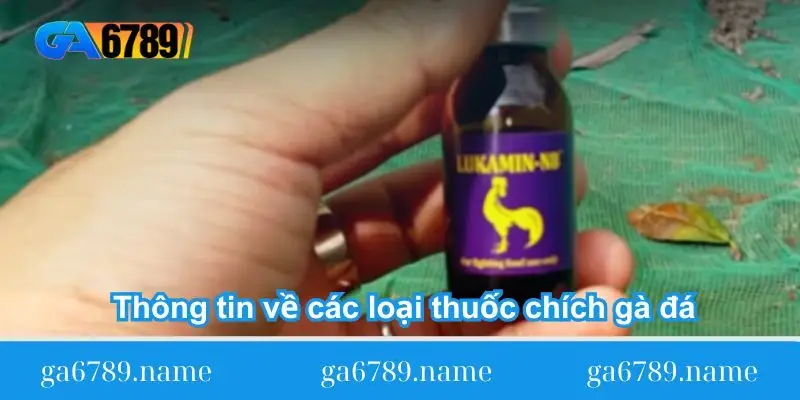 kinh nghiem chon cac loai thuoc chich ga da Thông tin về các loại thuốc chích gà đá