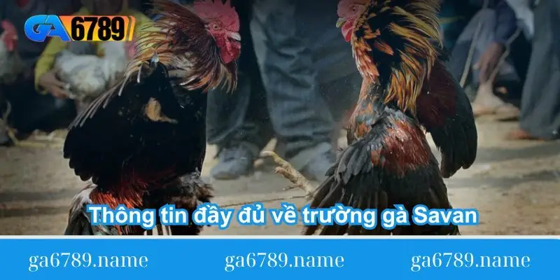 thong tin day du ve truong ga savan thong tin day du ve truong ga savan