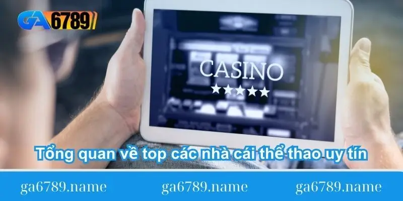 tong quan ve top cac nha cai the thao uy tin tong quan ve top cac nha cai the thao uy tin