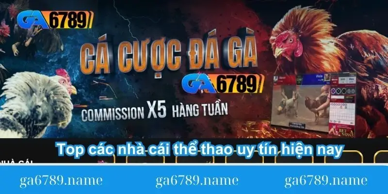 top cac nha cai the thao uy tin hien nay 1 top cac nha cai the thao uy tin hien nay 1