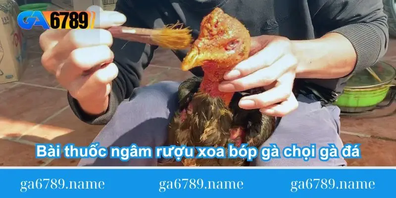 ve bai thuoc ngam ruou xoa bop ga choi ga da ve bai thuoc ngam ruou xoa bop ga choi ga da
